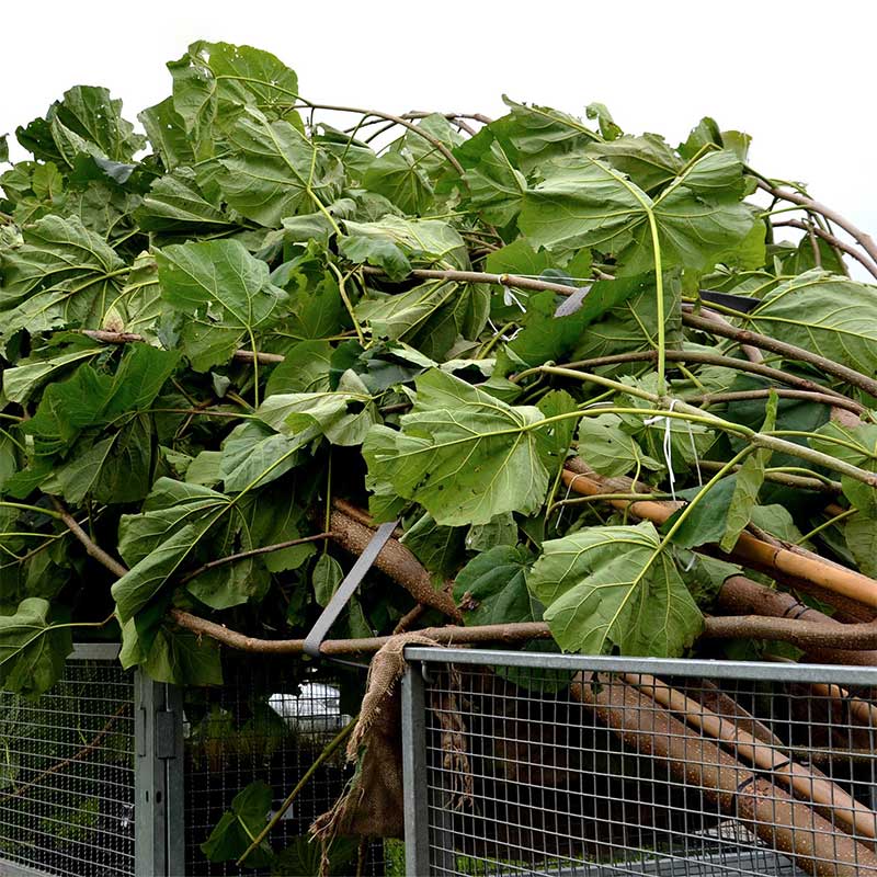 สายรัดวงล้อด้ามจับเคลือบยางขนาด 1'' X 15' พร้อมตะขอลวดเคลือบไวนิล